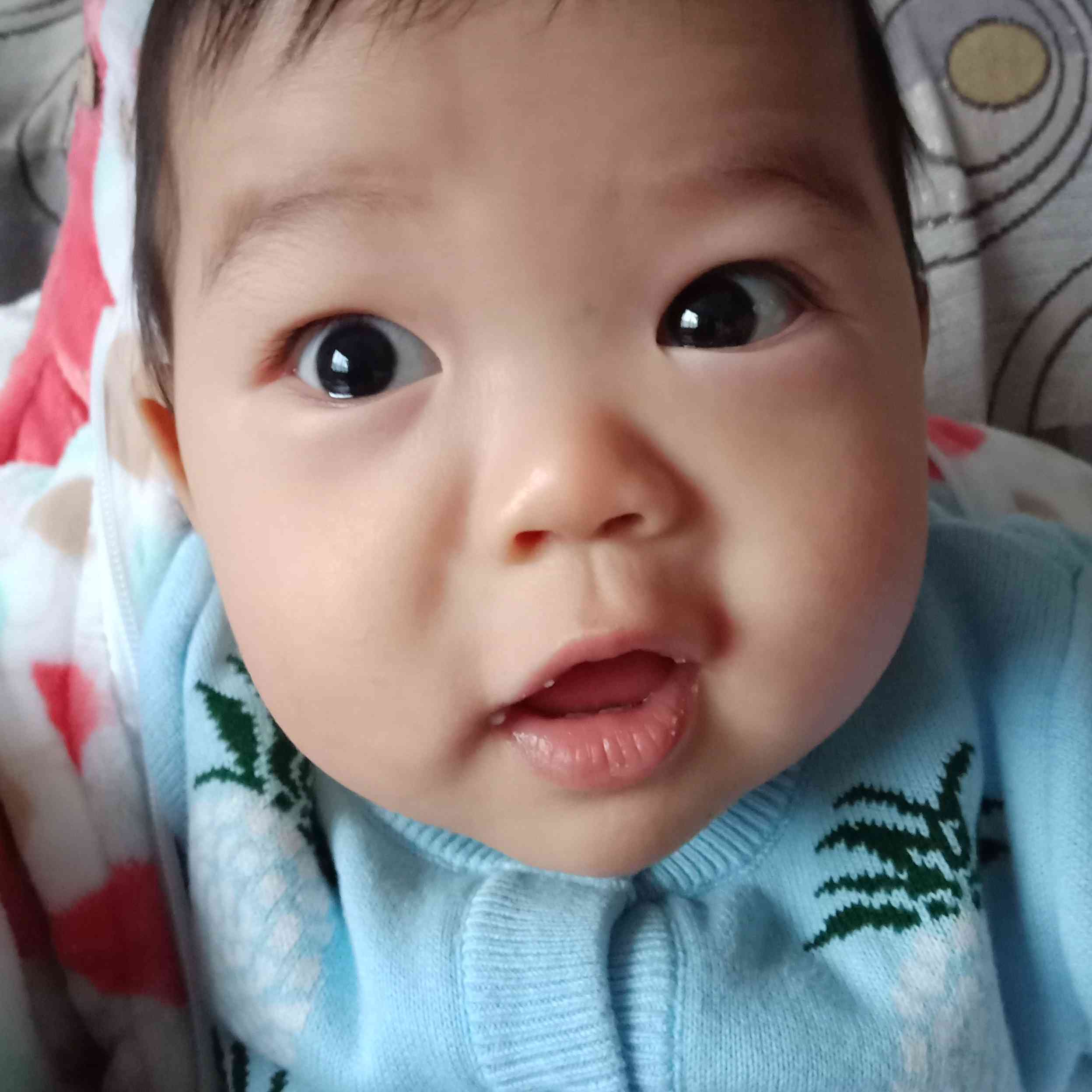 季正红