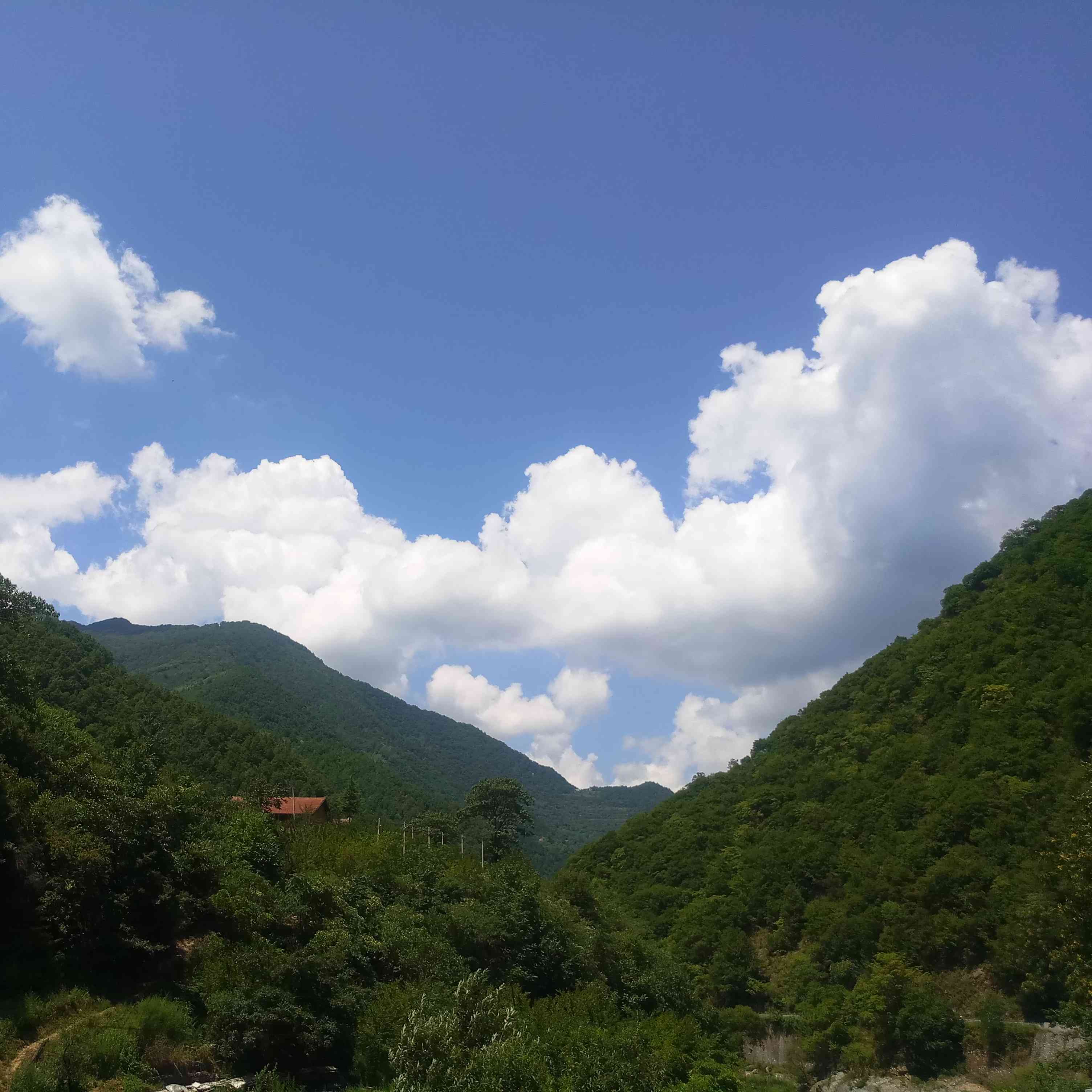 宜昌市五峰土家族自治县_天气预报查询 - 墨迹天气