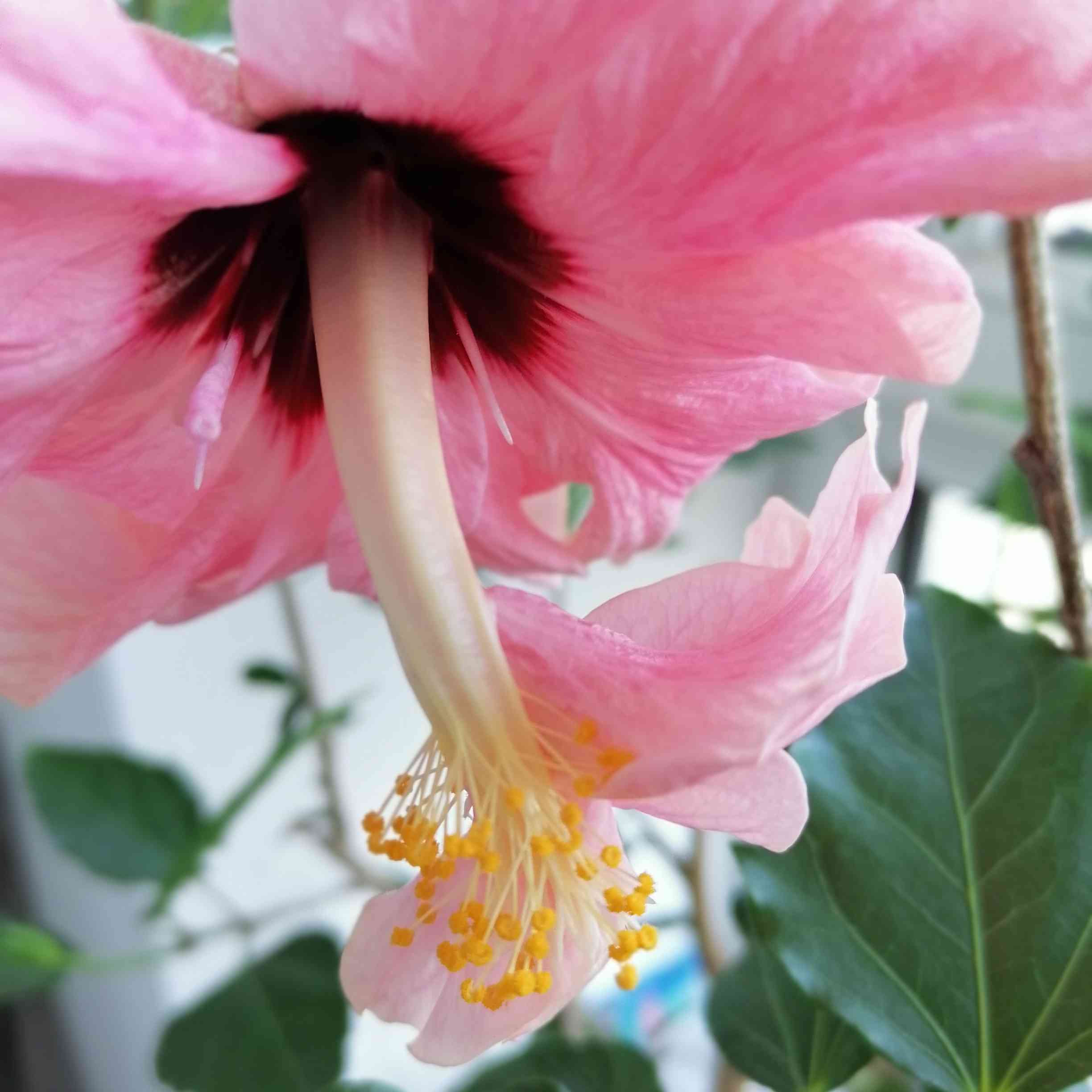 黑龙江省双鸭山市集贤县G1011哈同高速入口靠近老字号爱尚培训中心_分享_天气时景_预报查询 - 墨迹天气