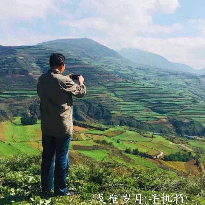 戈壁岁月(手机拍)