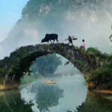 游荡的浩子