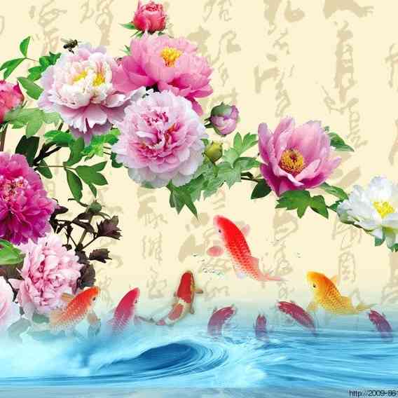 小小的   幸福