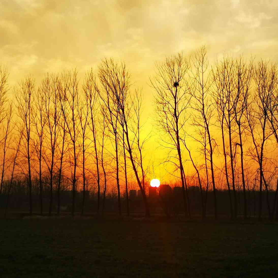 爱上拍照的兔子