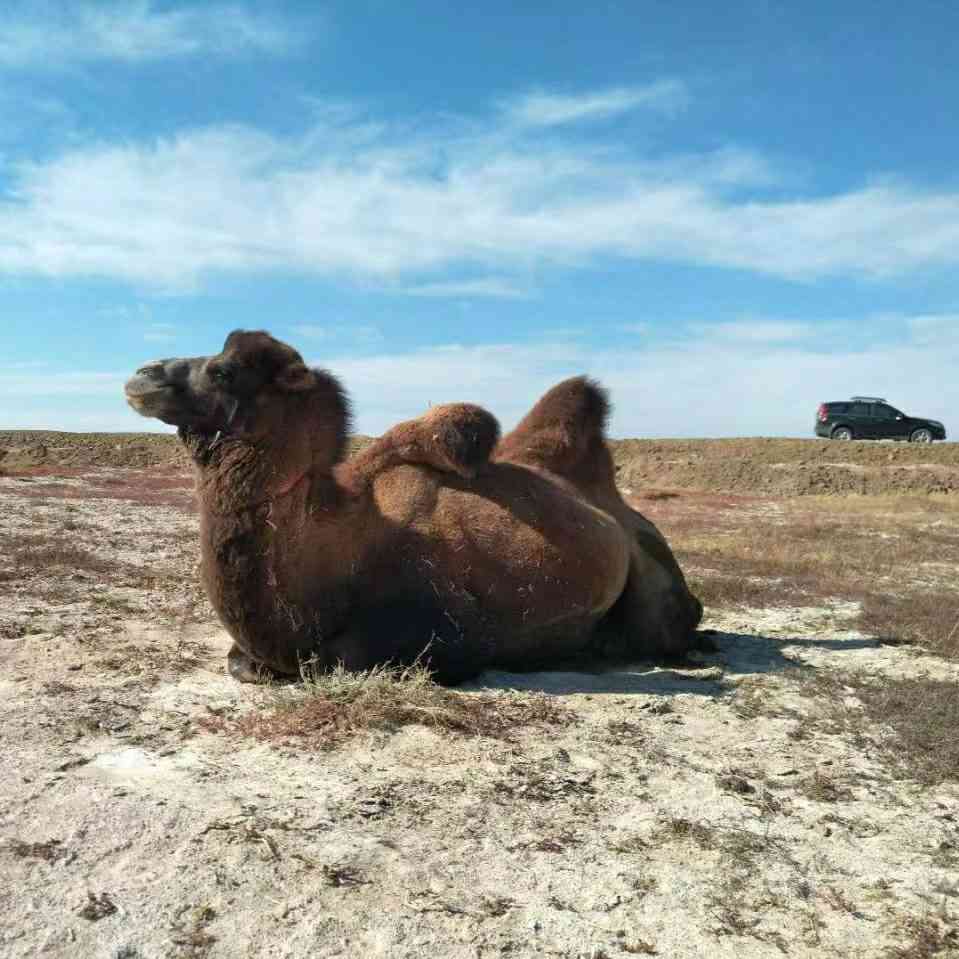 吕 志光