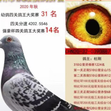 郑州开源36号棚