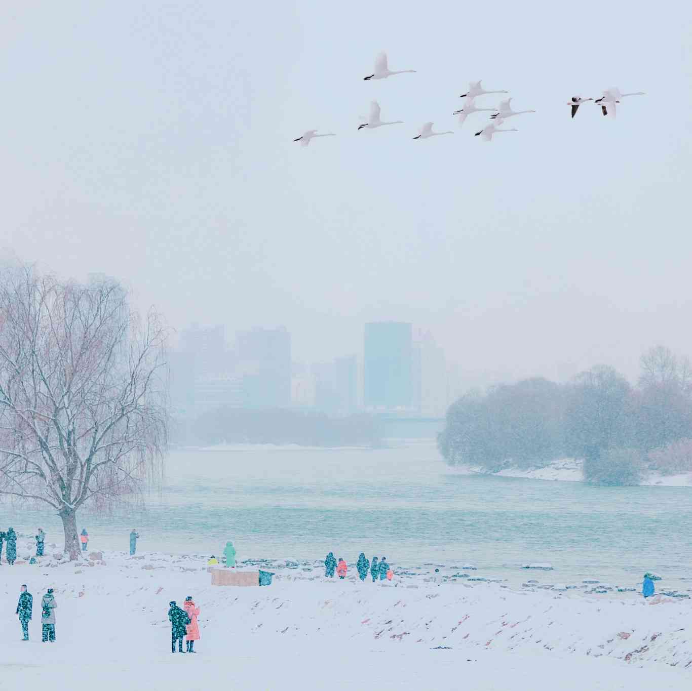 墨友黄河笑笑石