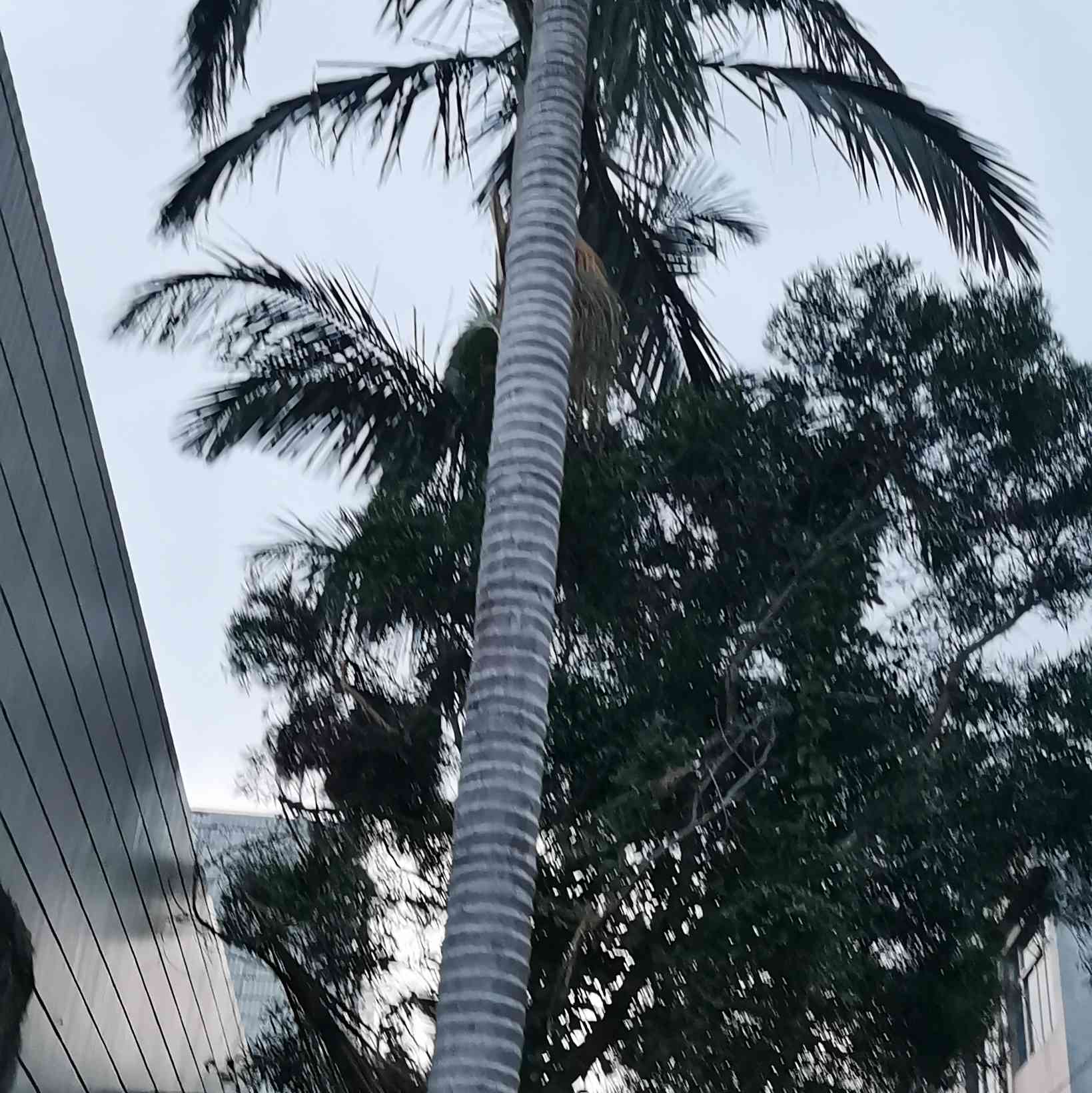 贵在有恒，天道酬勤。