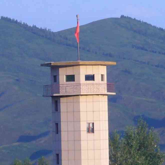 白桦林