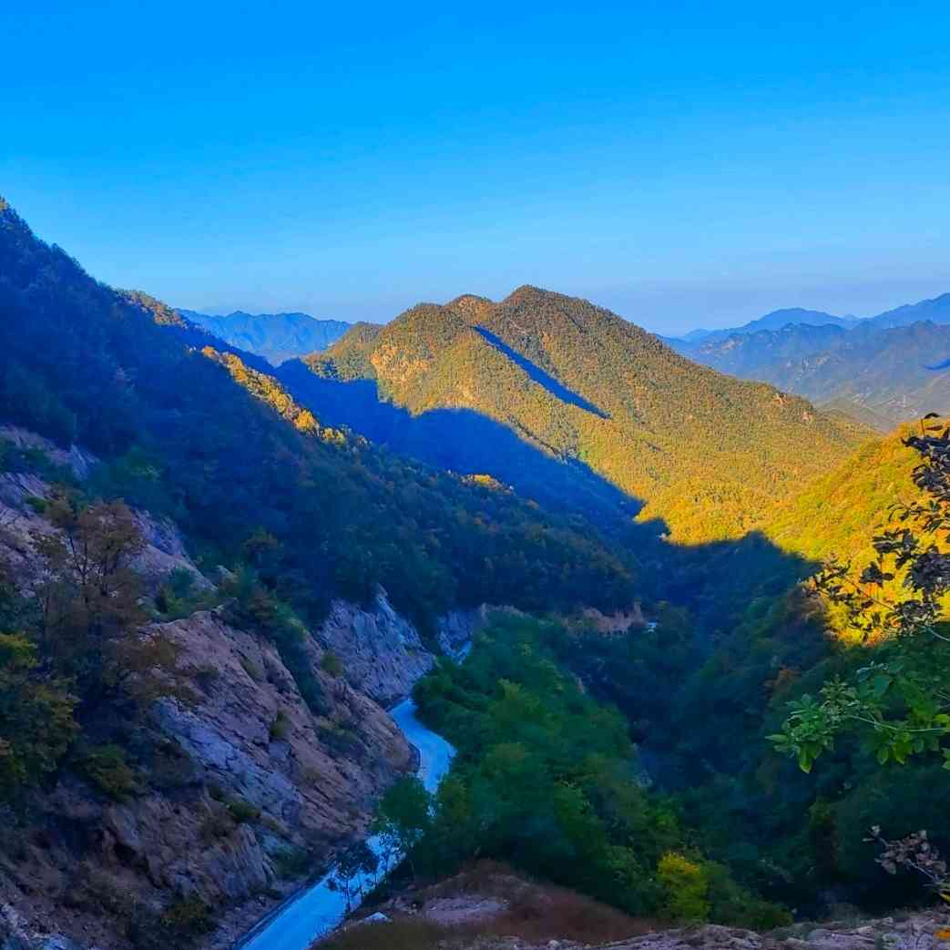 墨友 2309459今世缘