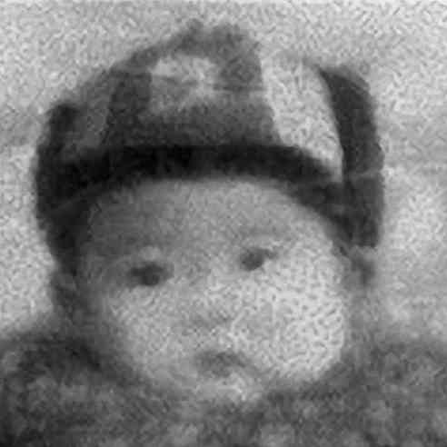 小海狮（孔令楠）