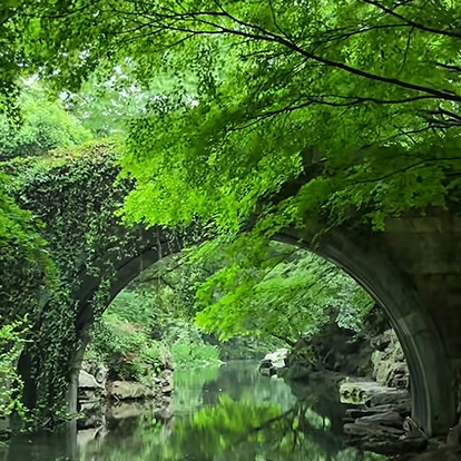 悟樂