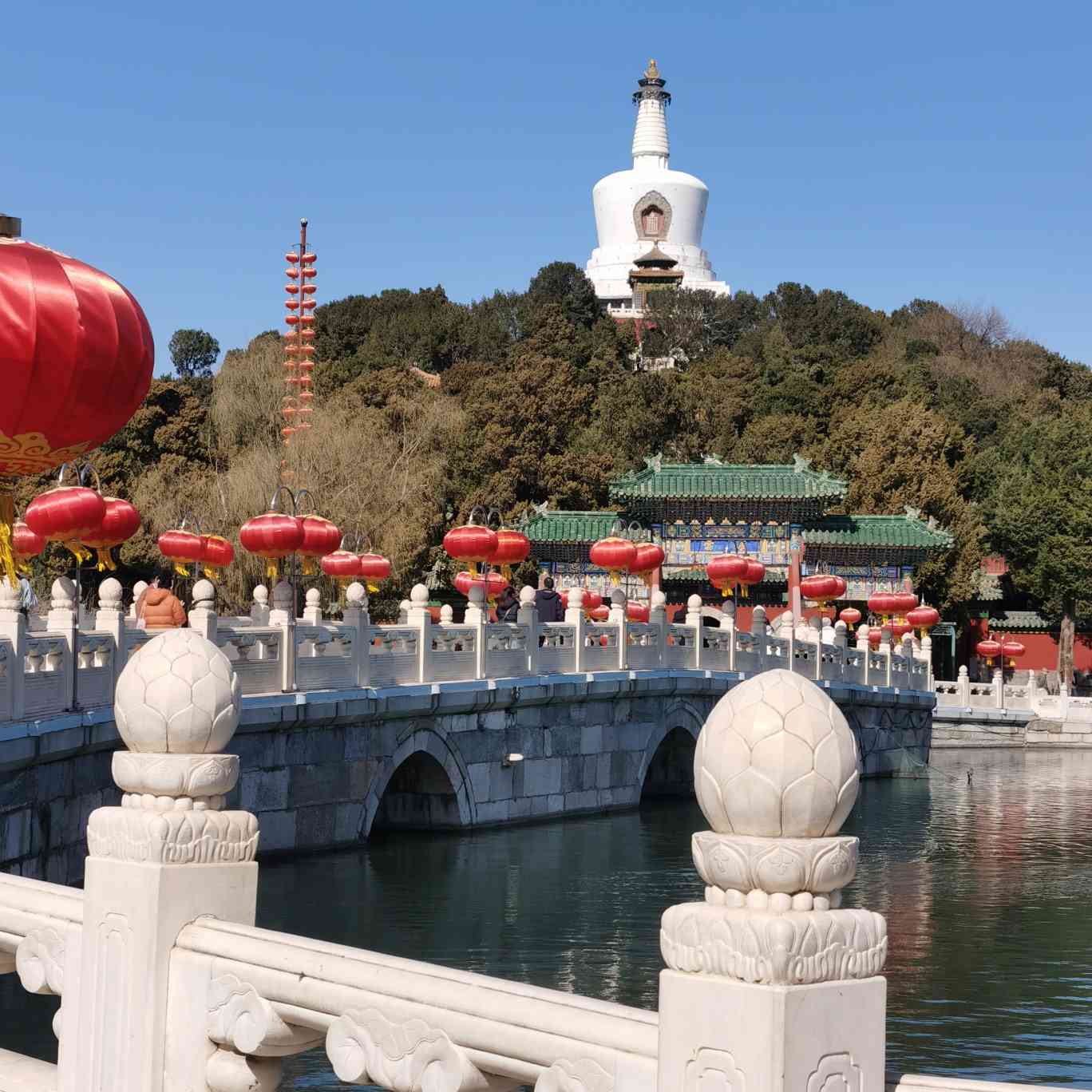 忘忧草(老李)