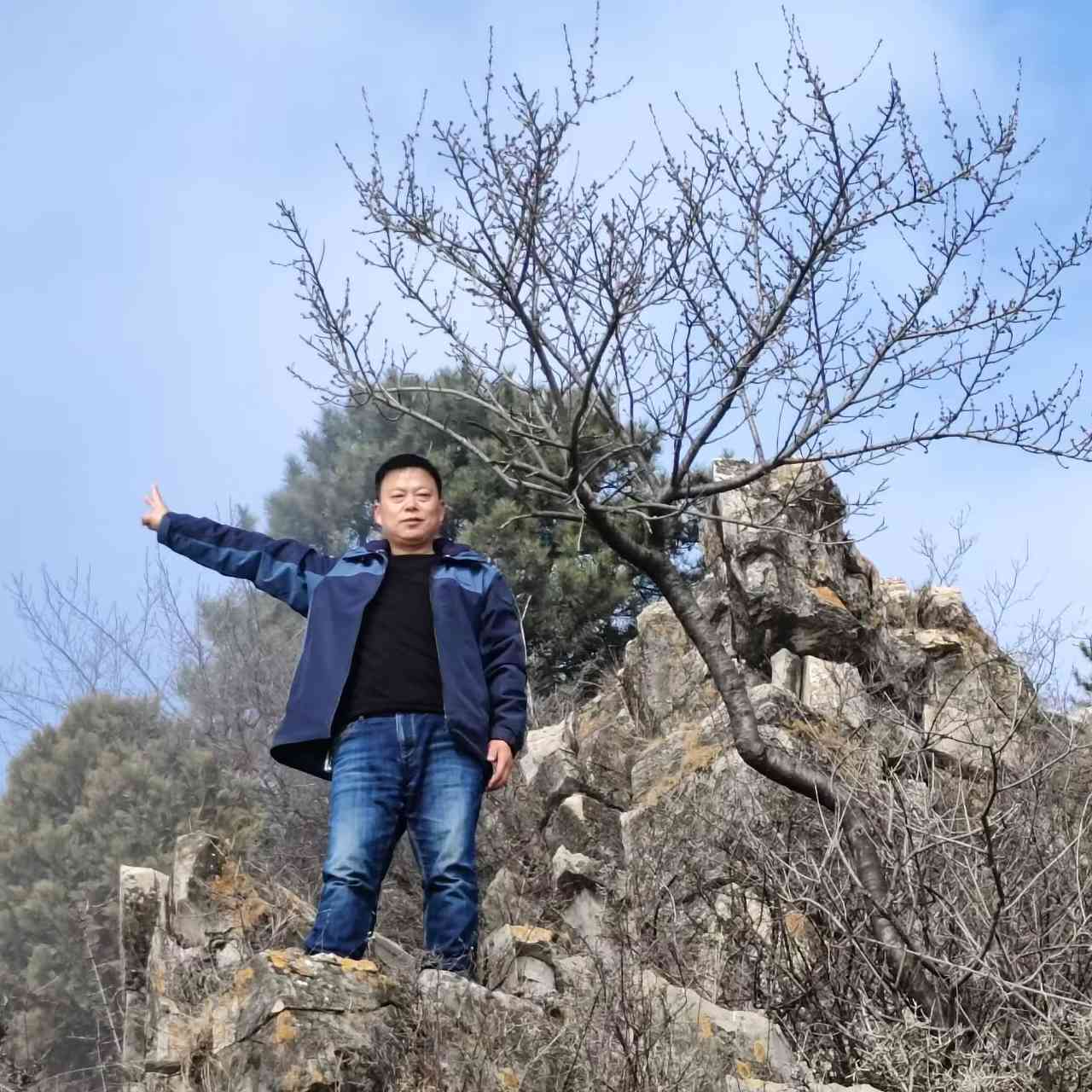 臻美南太行