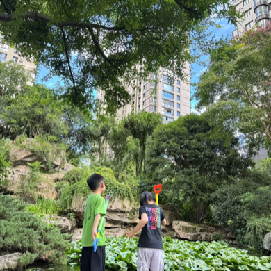 徽杭情缘