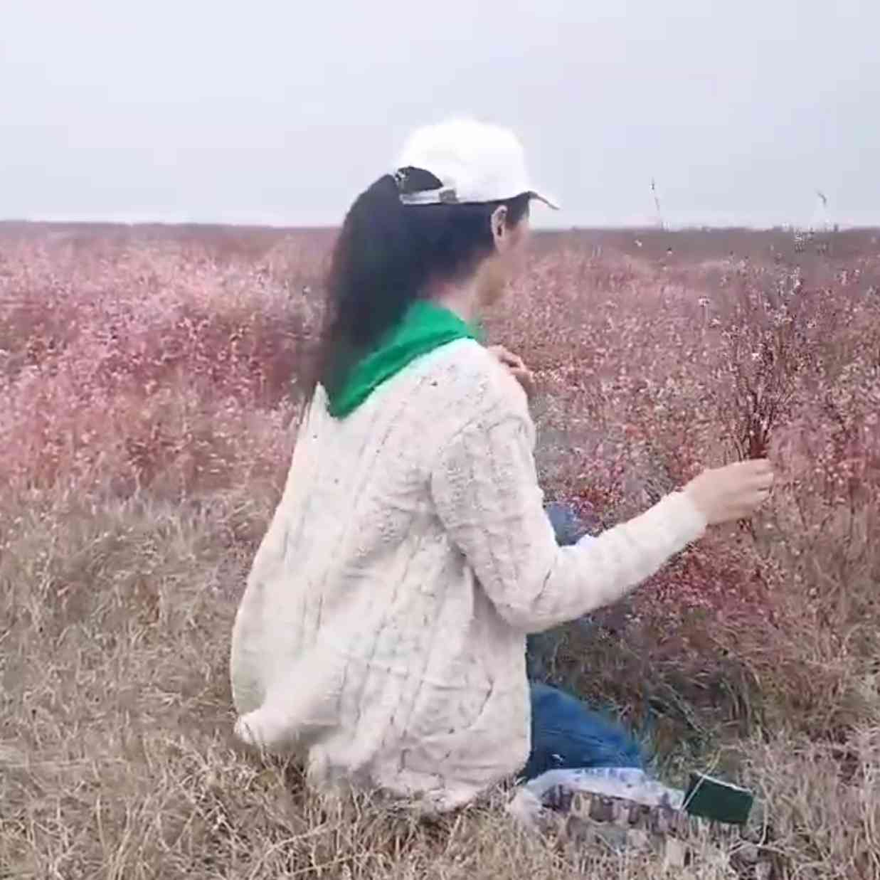让心旅游yy
