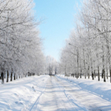 皇家马德里伯纳乌