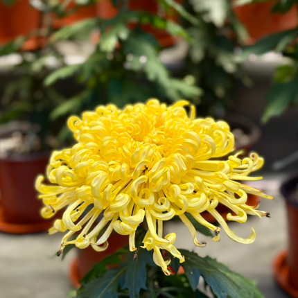 北京墨群@拾景123