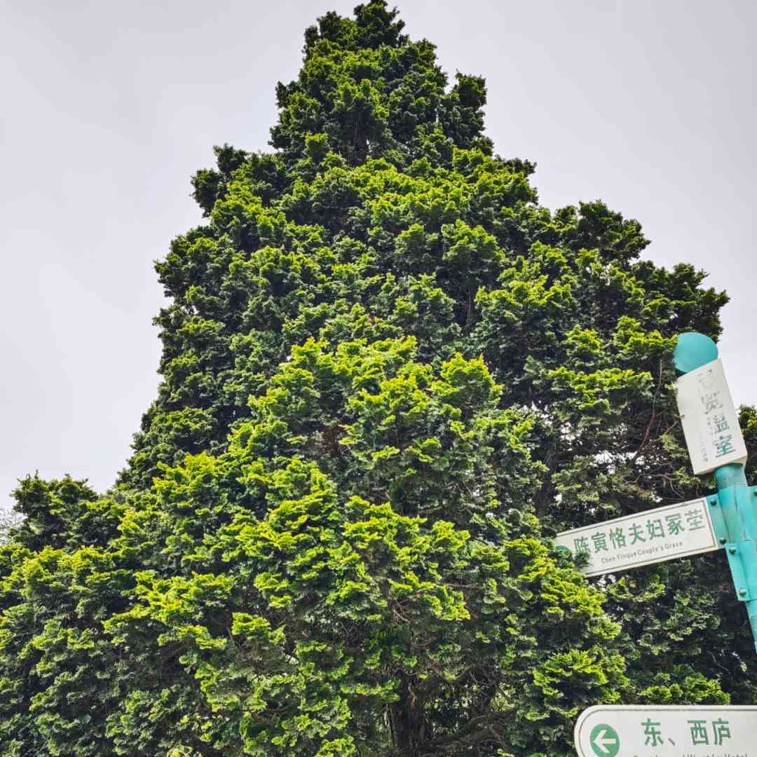 人生不过风风雨雨