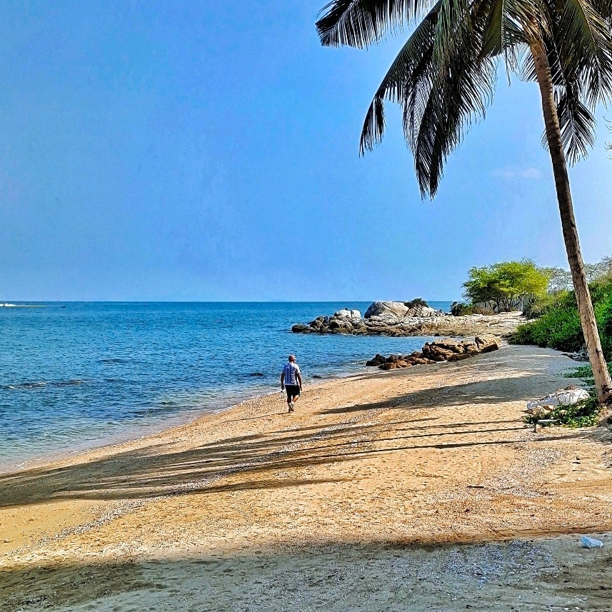 行者·大海先生