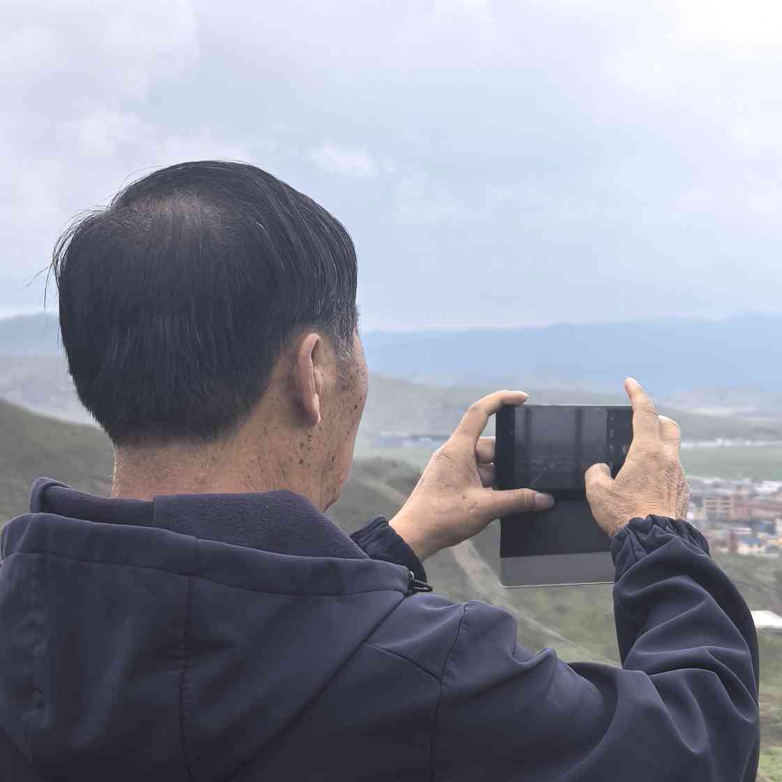 西域红柳