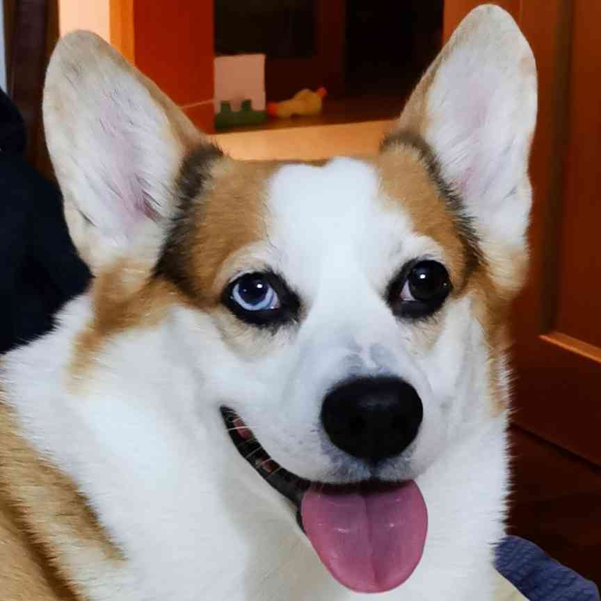帅哥