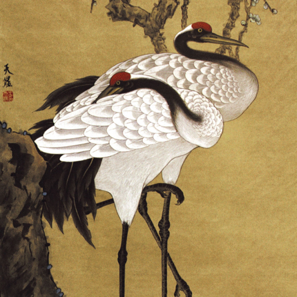 远乘