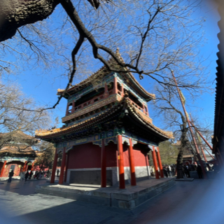 墨友32148903