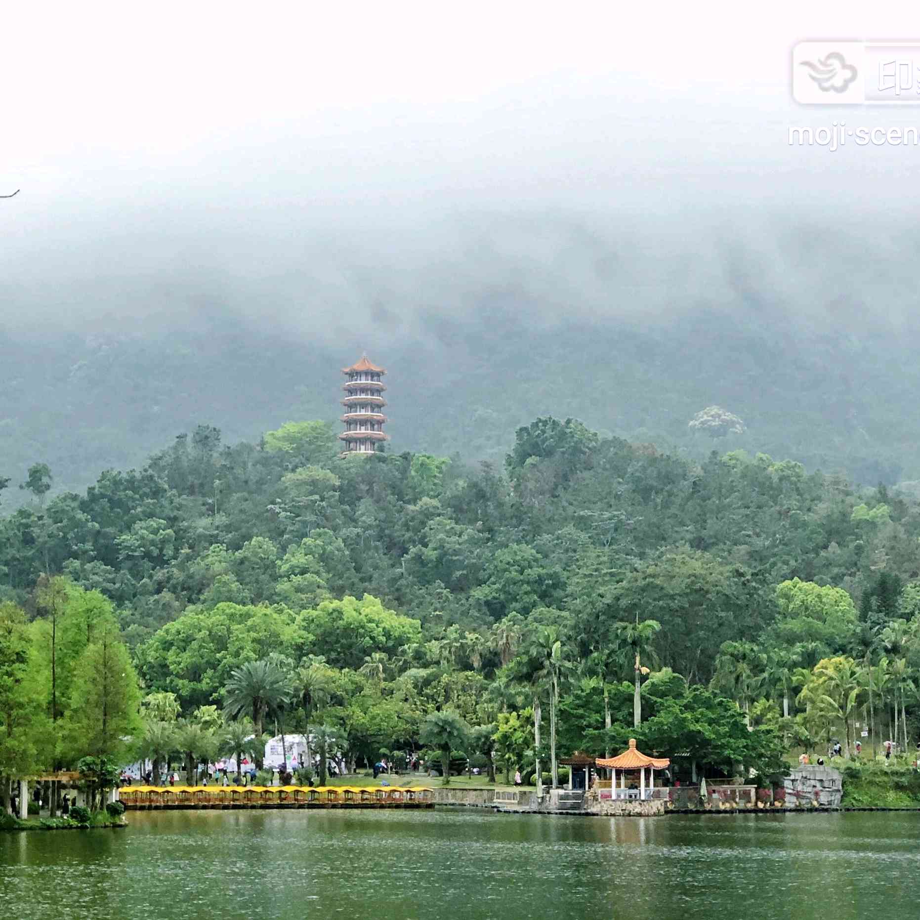 安徽省阜阳市太和县g36宁洛高速靠近前何炉