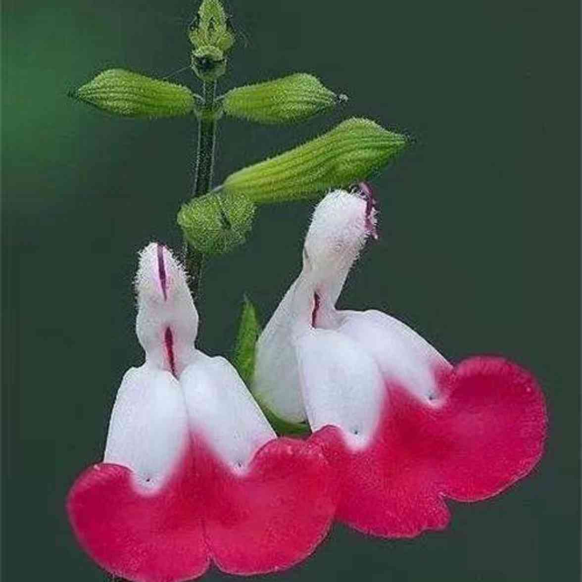 南阳市卧龙区百里奚北路