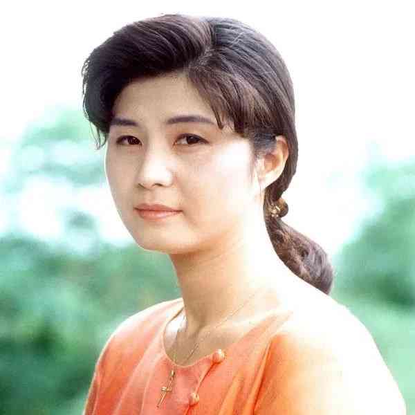 shouji132230058363(野石兰)